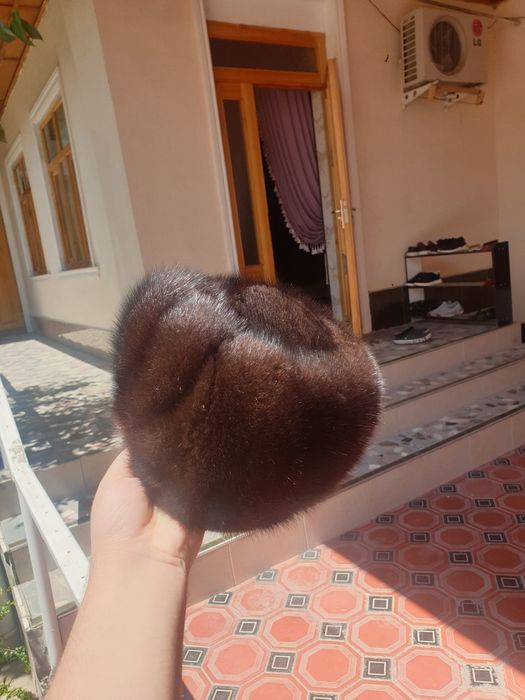Telpak arzonga ayollar uchun haqaiqiy moyna