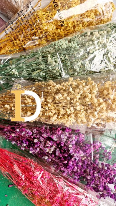 Гипсофила, Лагурус,Эвкалипт стабил.цветы,