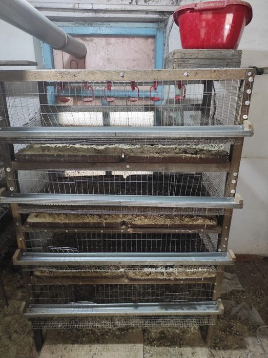Продаю клетки для перепелов