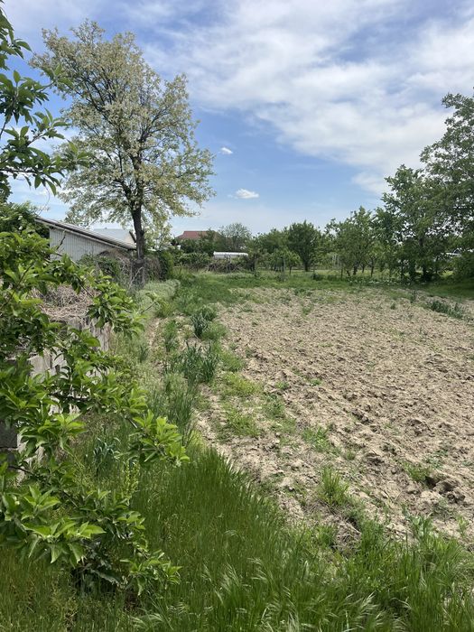 Vand teren intravilan 752mp Rastoaca