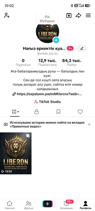 Тикток аккаунт 13 мын живой подписчик 30+ аудитория