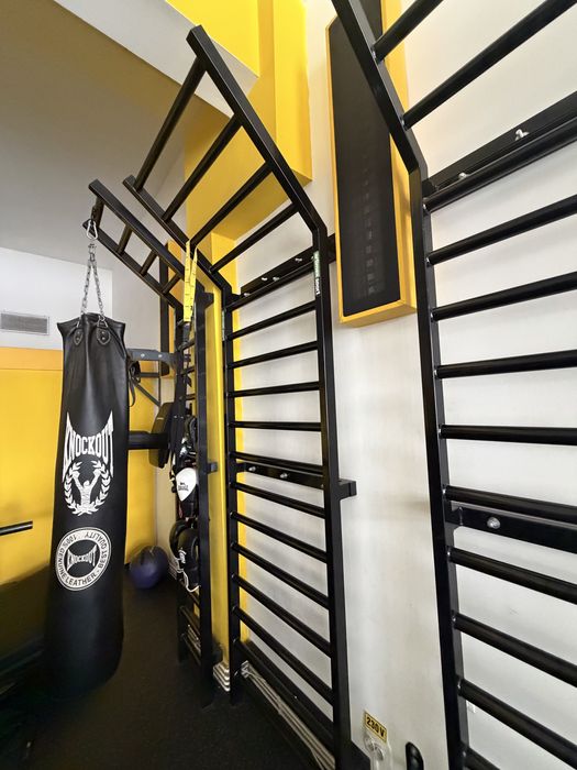 Vand set spaliere din fier,bara tractiuni si ab/dip wall mount