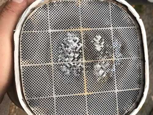 Вграждане на нови пити на Катализатори и ДПФ DPF за всички марки Ауди