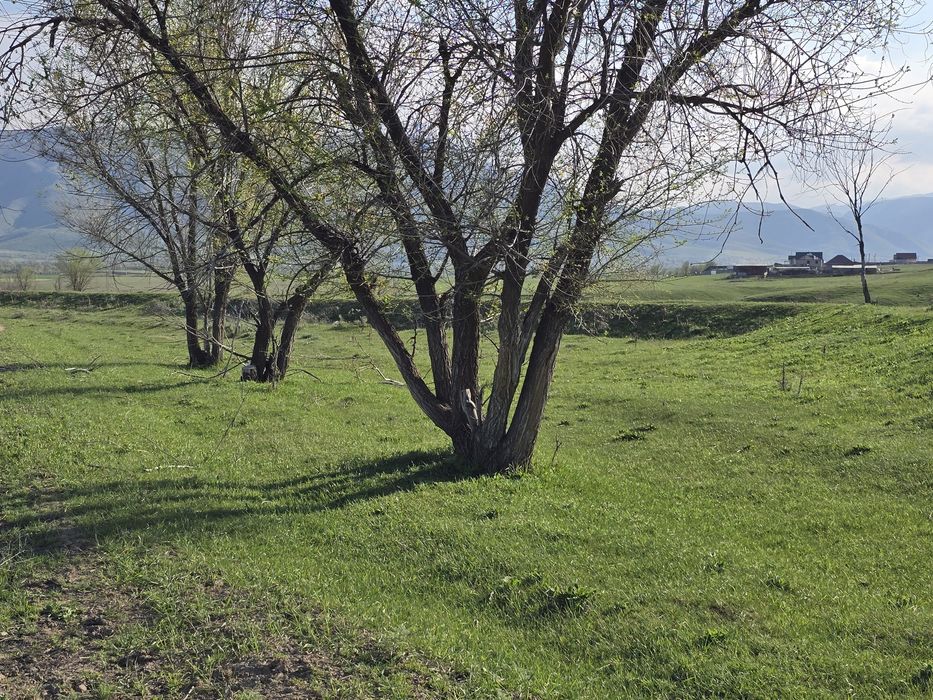 Участок в пригороде села Шамалган (Шамалған), выше ул. Райымбек батыра