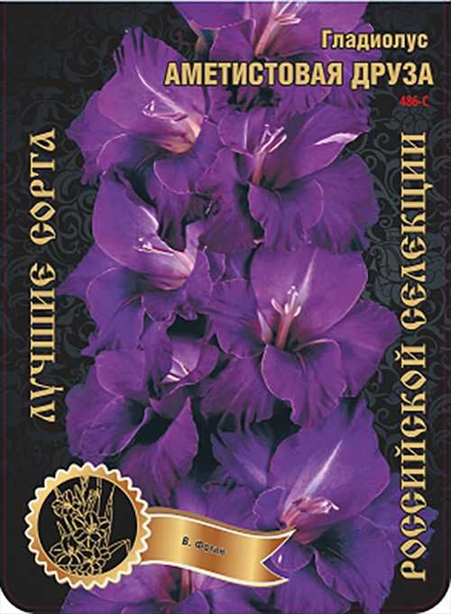 Гладиолусы луковицы