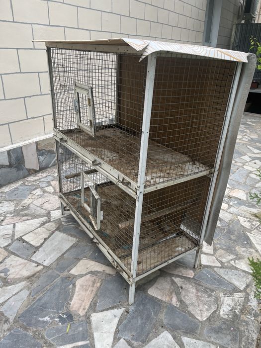 Quyon Sotiladi 1 Ogʻil 1 Qiz In alohida sotiladi