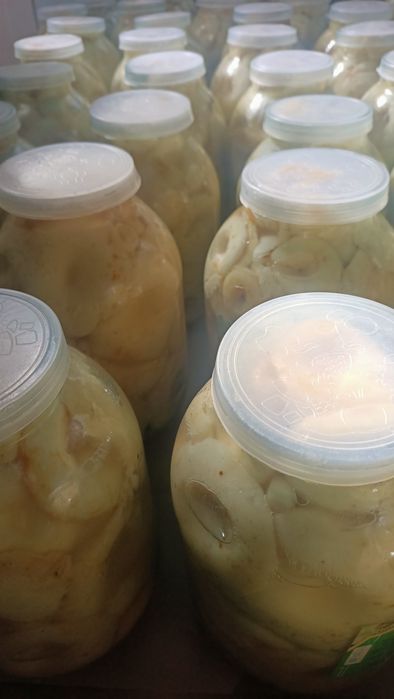 Грибы соленные, грузди