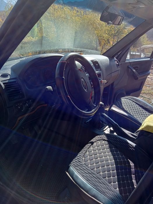 Туя смаракт, барабант красивая