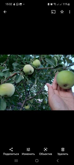 5 ком дом в Балауса