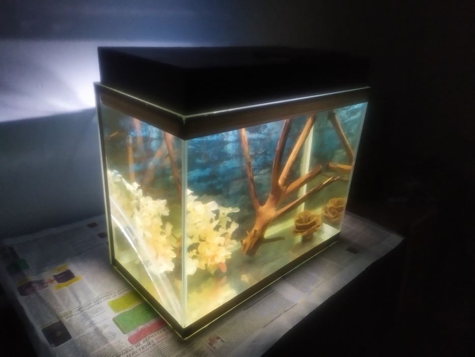 Аквариум 48л + бонусы и рыбки.