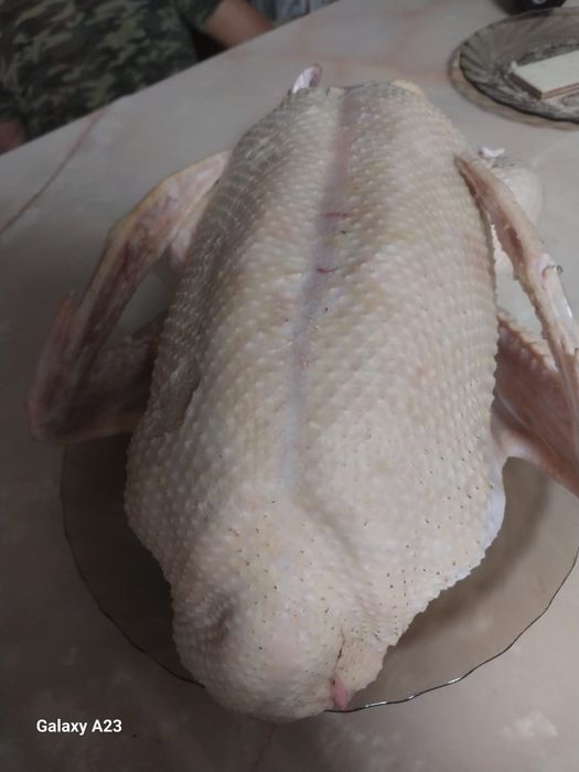 Продам мясо кроликов
