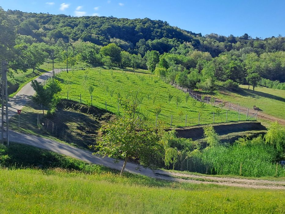 Vind livada 120 pomi fructiferi mixt, intravilan,3400 m,linga asfalt posibilitate constructie casa,ingradita,mai multe informati in privat 0726083166