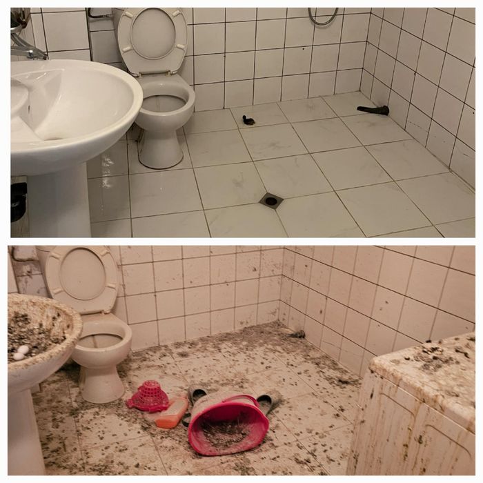 Почистване от гълъби Плевен