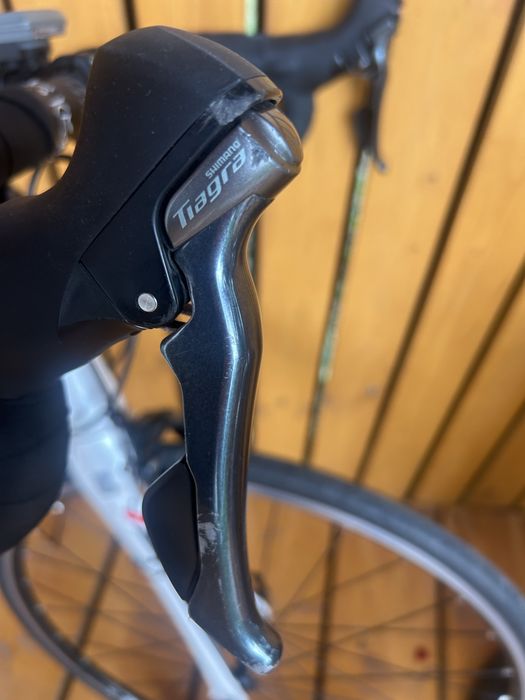 Cirsiera carbon Boardman