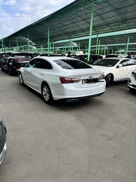 Malibu 2 atmasferni 100% primer