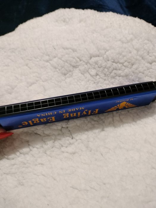 Muzicuță albastră