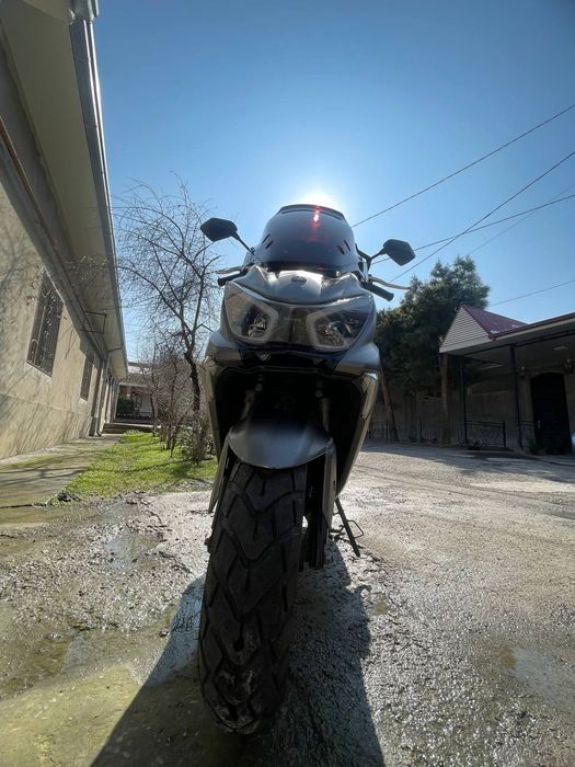 Tigr skutr tiger gst