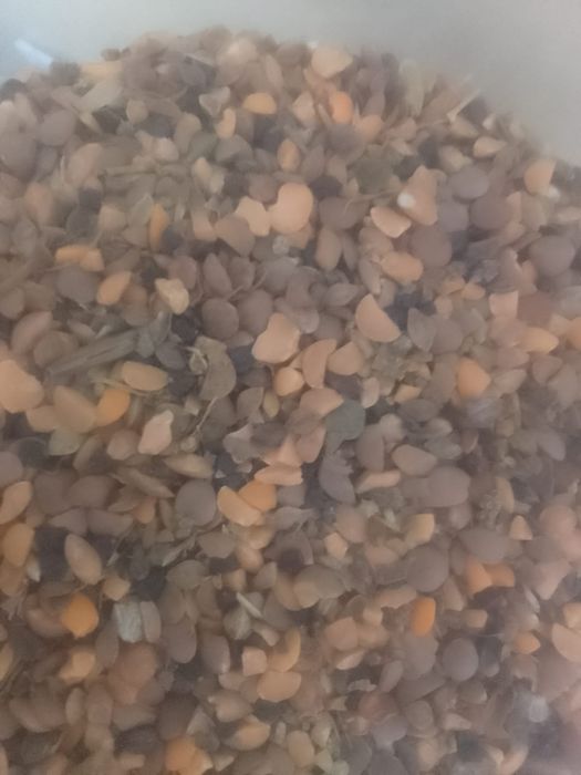 Зерноотходы Отруби Полова Овёс