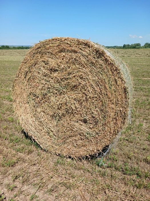 Baloți rotunzi de lucernă