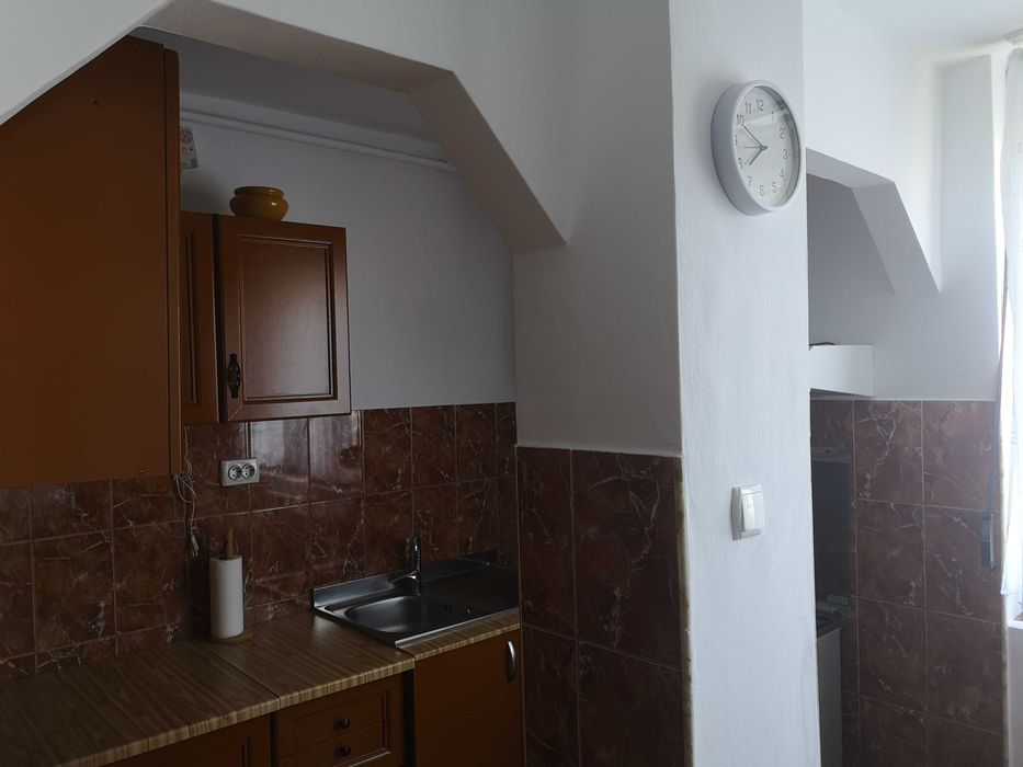 Dau in chirie garsoniera Burdea