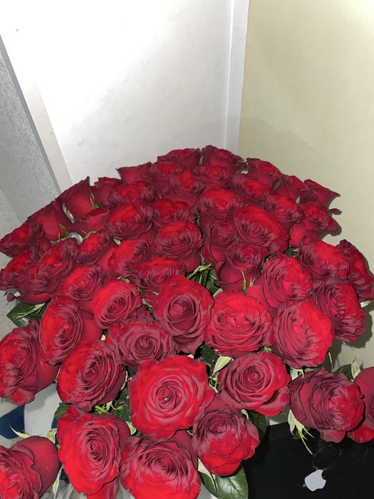 красные розы свежие