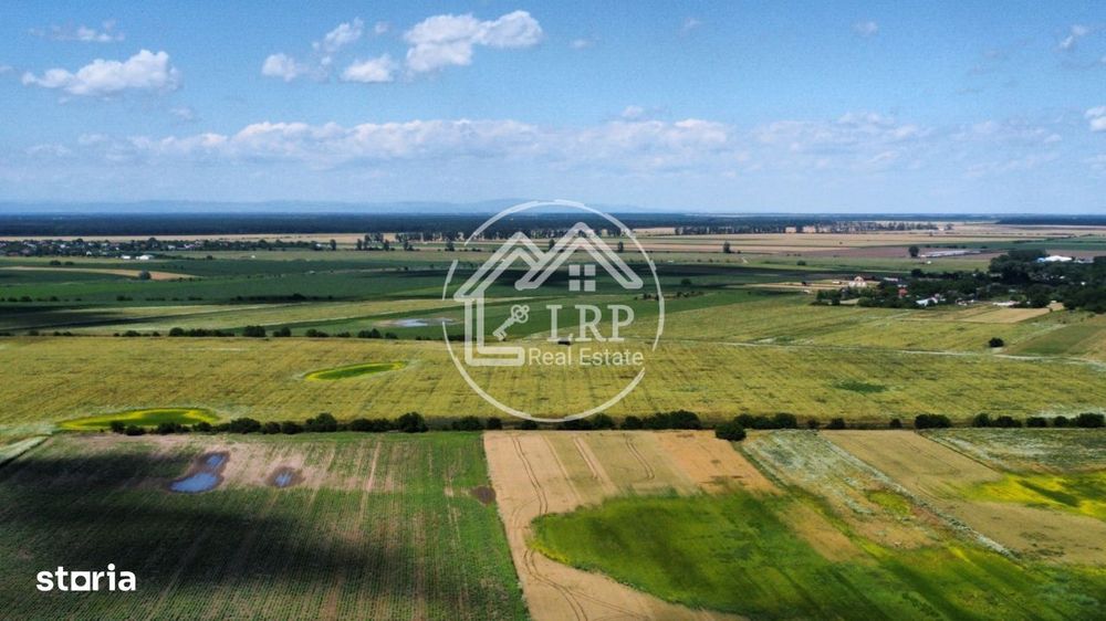 Teren Intravilan 20.000 mp Creata Dascalu, T66– dubla deschidere
