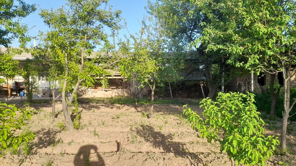 Srocna yer sotiladi hamma dakumentlari joyida