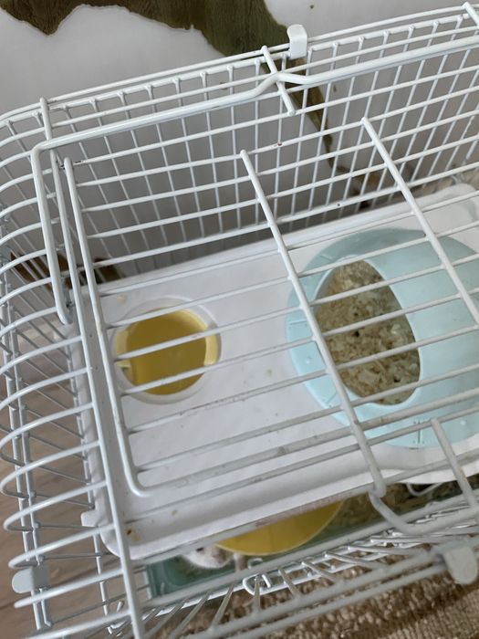 Продам хомяк с клеткой