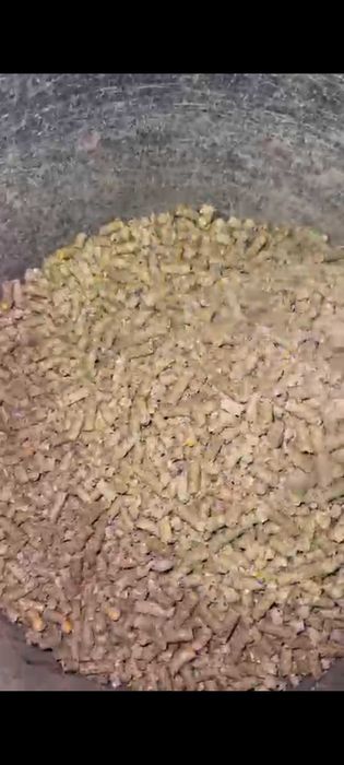 Granulator de peleti