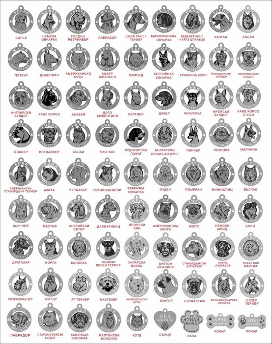 21 лв, Медальон за куче с гравиране на име и телефон