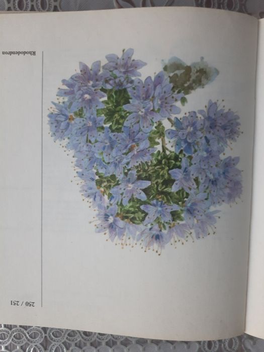 Продаётся 3 книги
