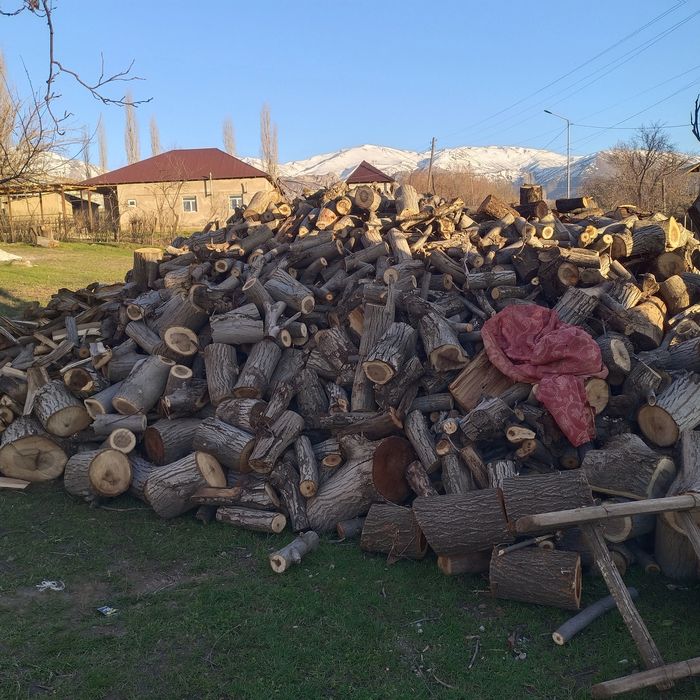 Отын бар дайын 4 камаз