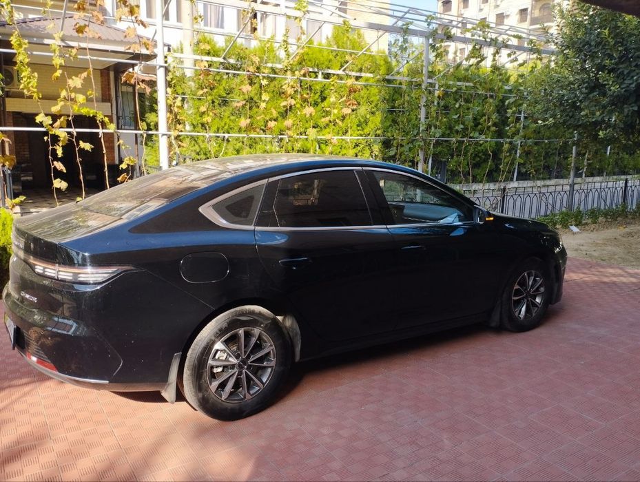 Byd chazor 2024 55 км