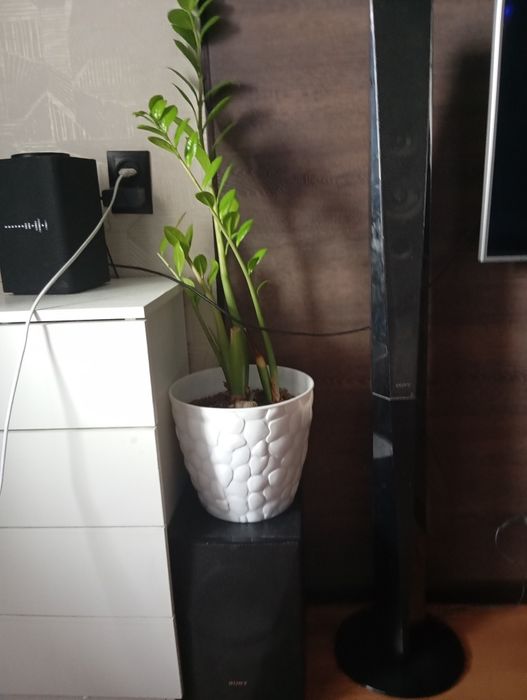 Продам домашний кинотеатр sony