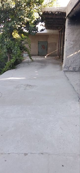 Kogon tumani Qalqon qishlogʻida 15 soʻtiqli Uchastka sotiladi
