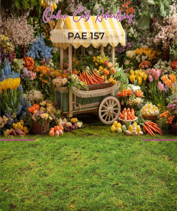 Fundaluri foto pentru Primăvară/Paște