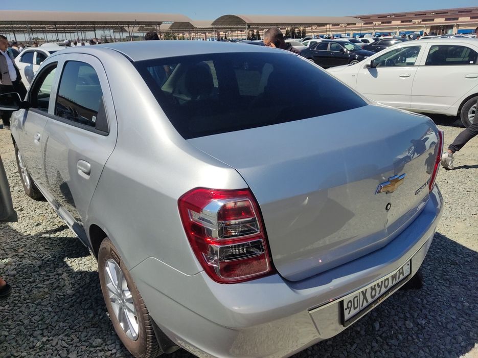 Соболт 2024, 4 поколения метан, 4 та арча болон, биринчи номер олинган