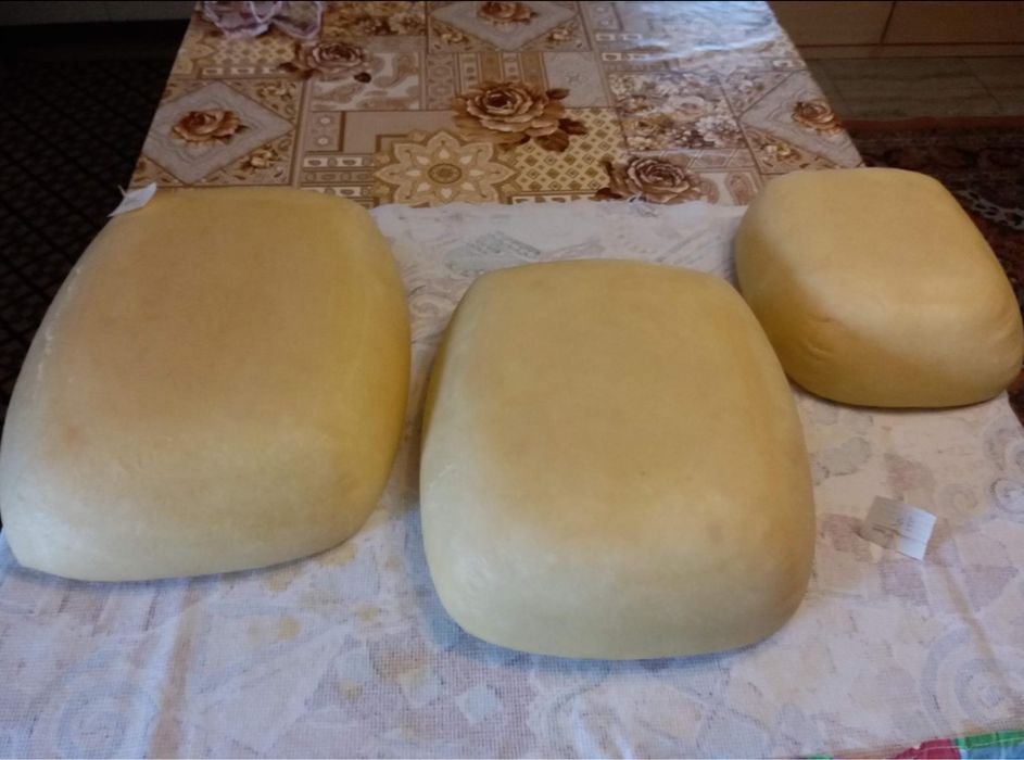 Vand cas de oaie ,urda,telemea