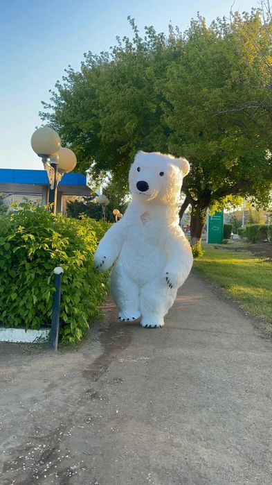 Аниматоры, поздравления, мишка умка