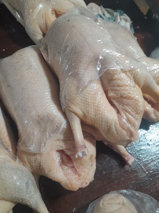 Мясо гуся домашнее