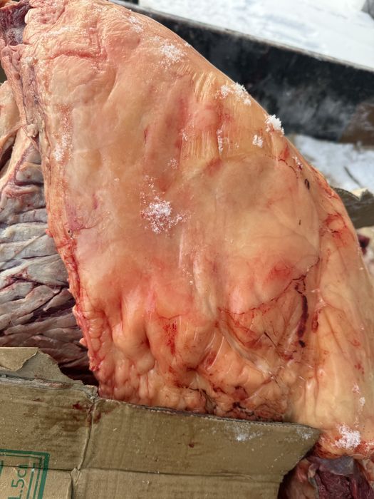 Согым семиз байтал 3000 тг кг