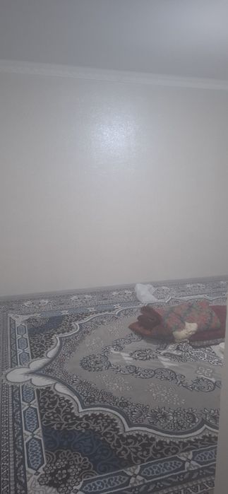 Зангиота тумани солничнийда 3 хонали  киватира койман