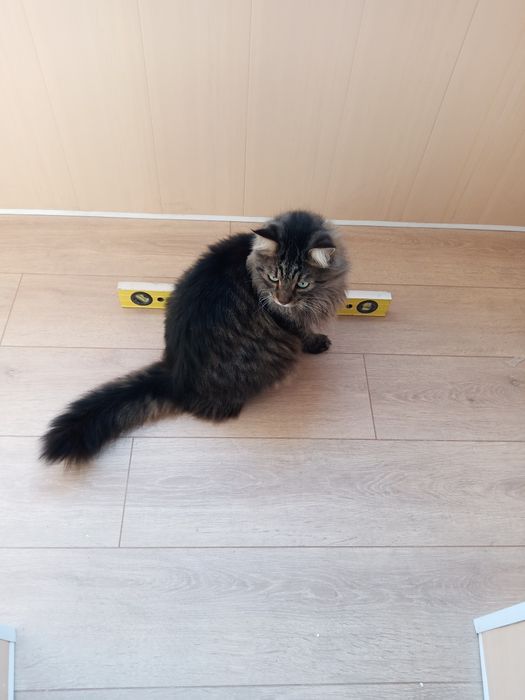 ремонт квартир под ключ