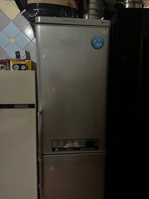 Холодильник снежинка 304