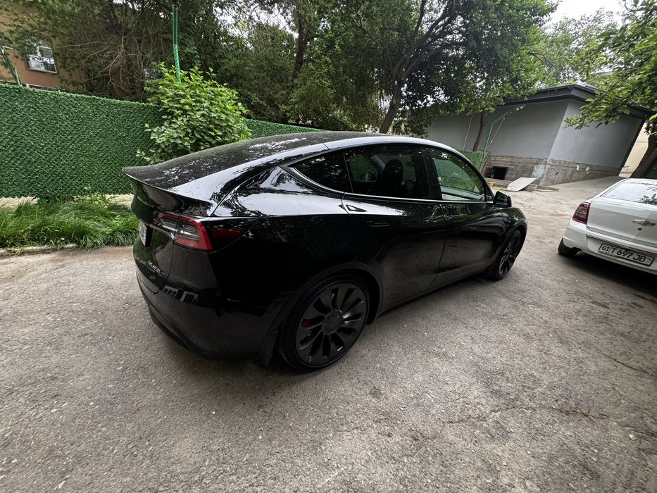 Tesla model Y performance