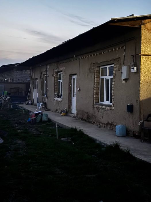 Toshkent tuman oltin tepa tutzor orientir havas