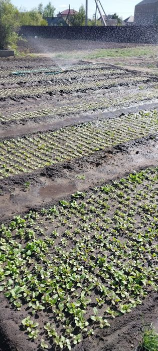 Продам участок в черте города