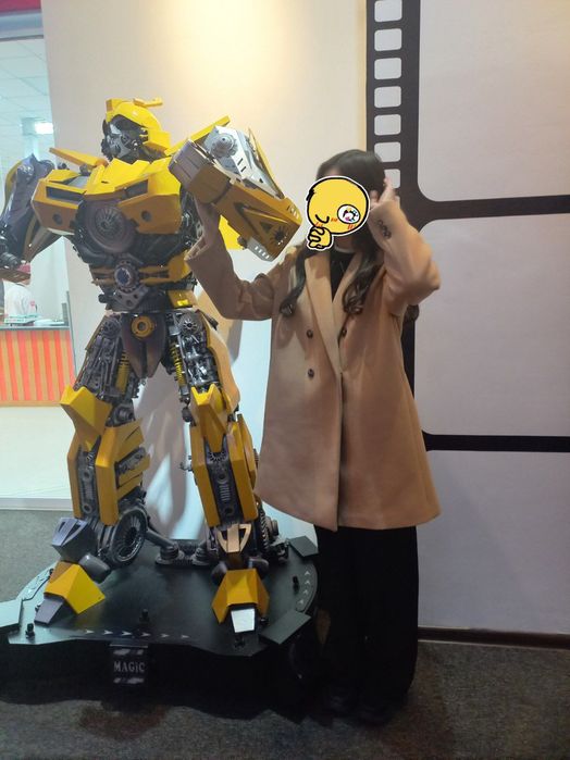 Пальто весеннее, в отличном состоянии.