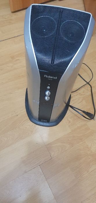 Roland PM-03. Monitor activ 2in1.