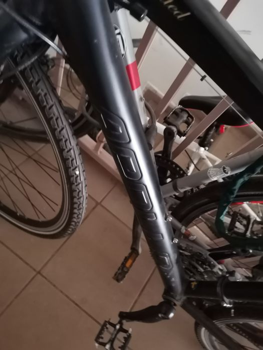 Bicicleta  de oras